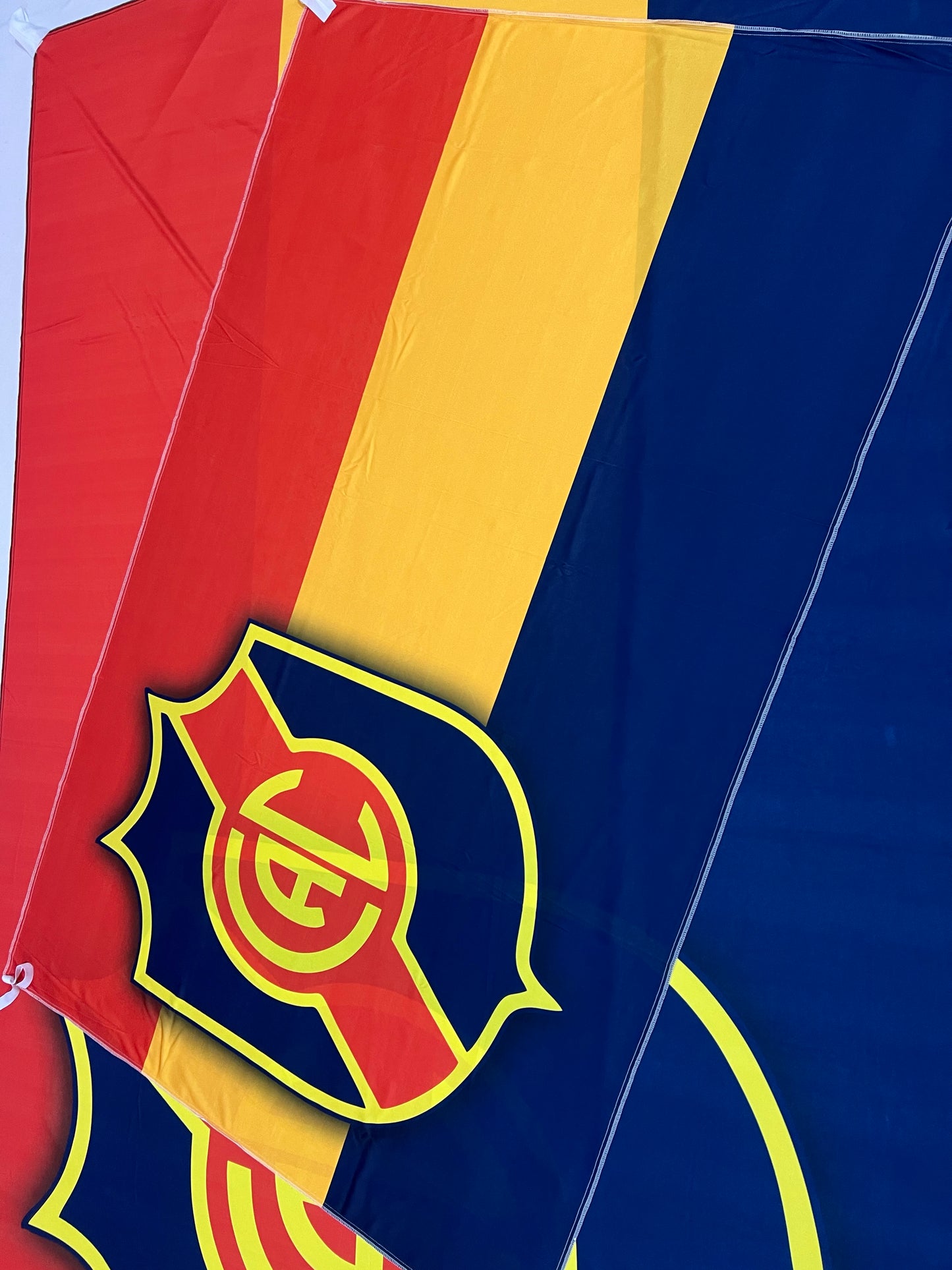 Bandera de Colegiales 🟡🔴🔵 Orgullo Tricolor – Personalizadas y Envío Gratis