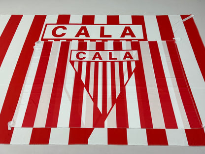 Banderas de Los Andes Mil Rayitas – 1,50 x 1,00 m / 2,50 x 1,50 m – Tela Resistente – Envío Gratis a Todo el País 🇦🇷