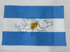 Bandera Malvinas Argentinas modelo 8 | 90x60 y 1x1.50