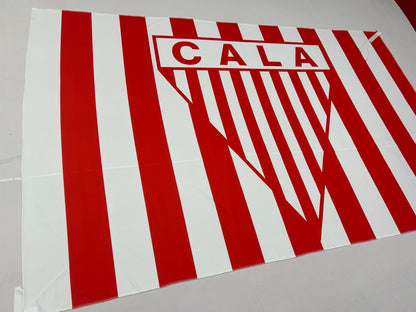 Banderas de Los Andes Mil Rayitas – 1,50 x 1,00 m / 2,50 x 1,50 m – Tela Resistente – Envío Gratis a Todo el País 🇦🇷