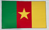 Bandera de Camerún– 1,50 x 1,00 m / 2,50 x 1,50 m – Tela Resistente – Envío Gratis a Todo el País